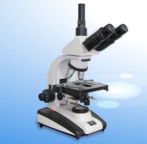 �D�������@΢�R XSP-44X.9