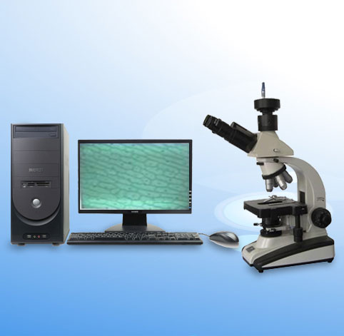�D�������@΢�R XSP-44X.9V