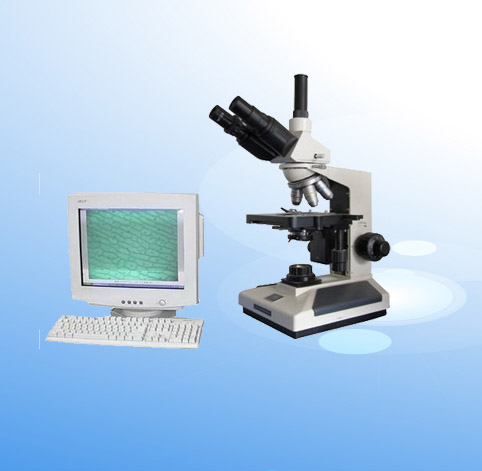 �D�������@΢�RXSP-8CV