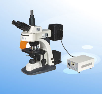 ����ɹ��@΢�R XSP-63B