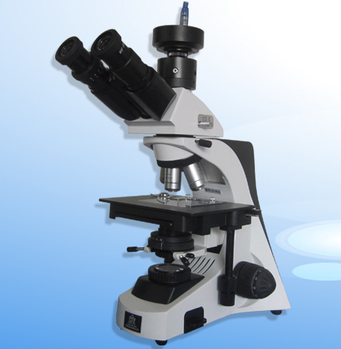 �о��������@΢�R XSP-11CA