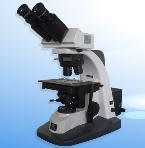 �о��������@΢�R XSP-12C
